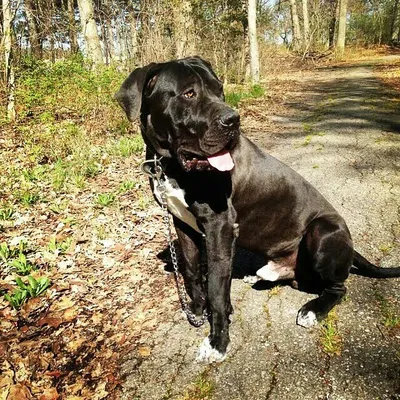 Linwood profile