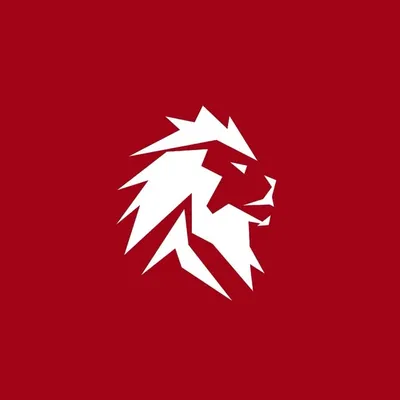 Lion Frame Films profile