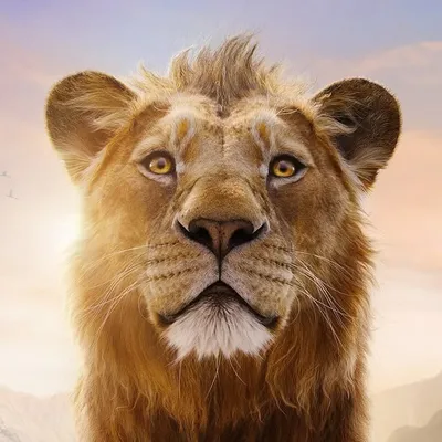 Disney’s The Lion King profile