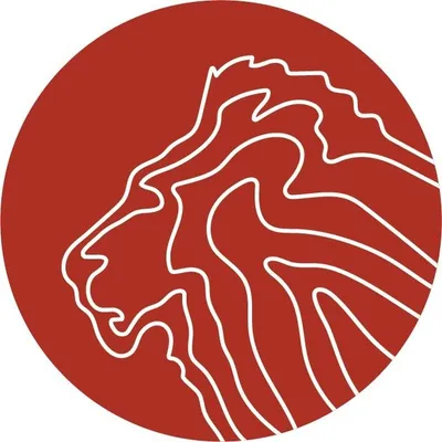 Lion Recovery Fund profile