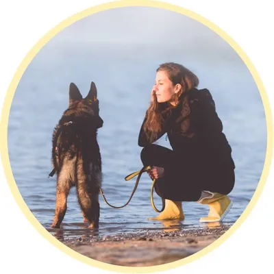 Lisa I Welpen, Junghunde & Teetektor® profile