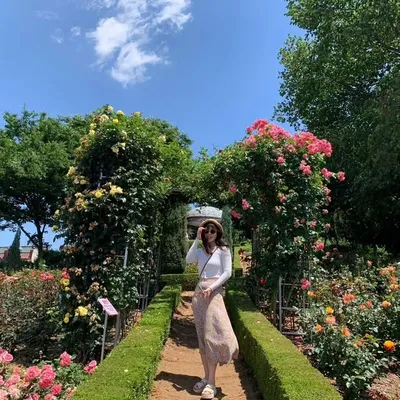 리사 Lisa de Corea del Sur profile