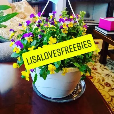 Lisa Loves Freebies profile