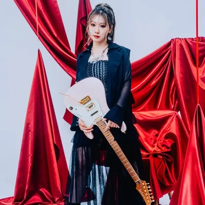Li-sa-X profile