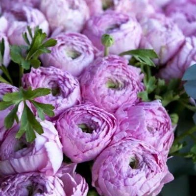 Za!na profile