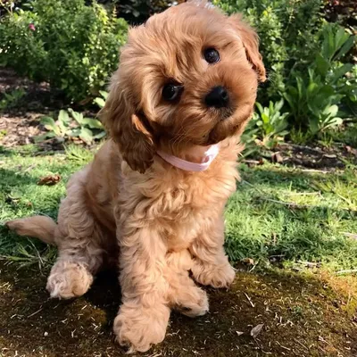 LEXI ๐พ๐ profile
