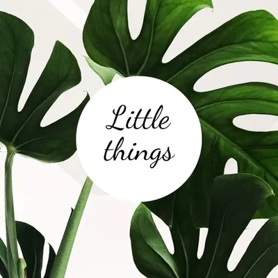 Little Things by AK profile