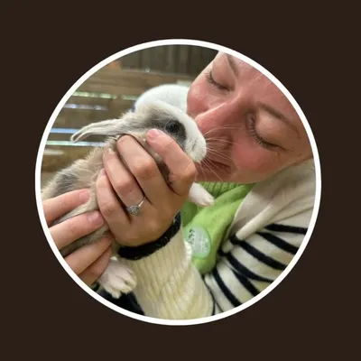 LittleWondersGB profile