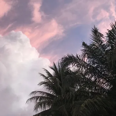 Phuket Thailand profile