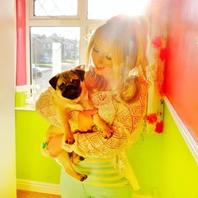 Nicola | Dog Friendly Travel & UGC ๐๐ profile