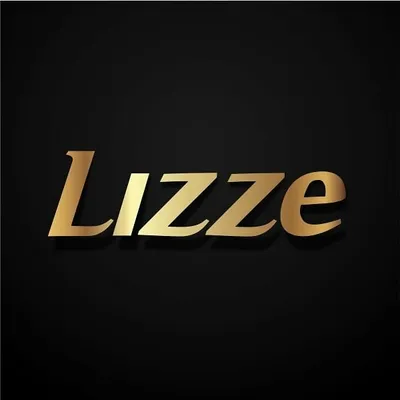 Lizze Equipamentos profile