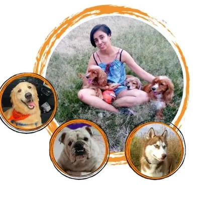 Amores Peludos 🧡 profile