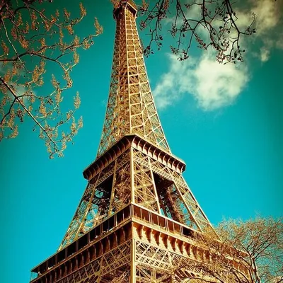 Lj Travel World profile