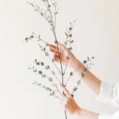 دودي العلي🍁. profile