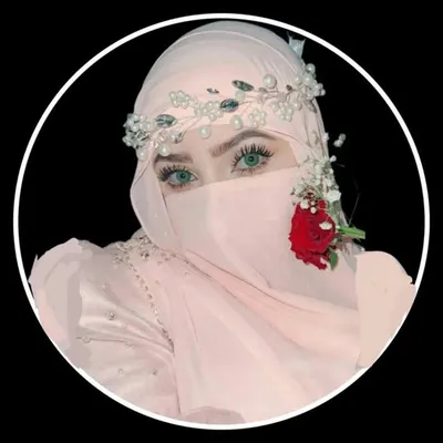 Safiya Shaikh profile