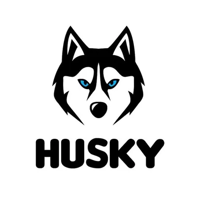 Insta Husky profile