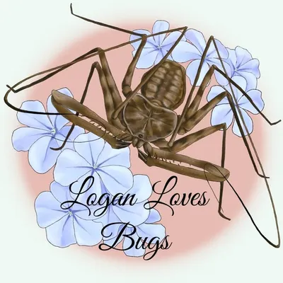 Logan Loves Bugs profile