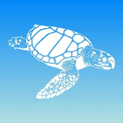 Loggerhead Marinelife Center profile
