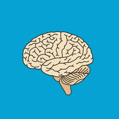 Logic4minds profile