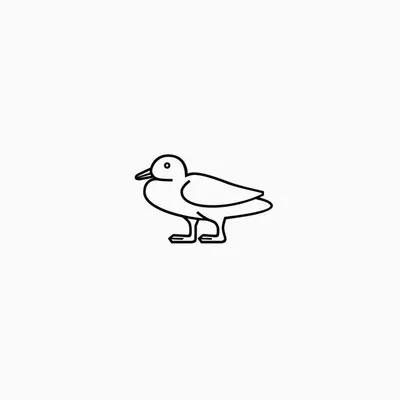 かもめ profile