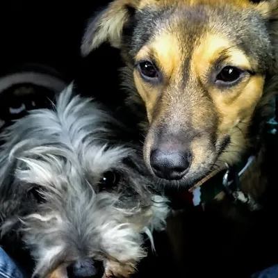 Lola & Roxy profile