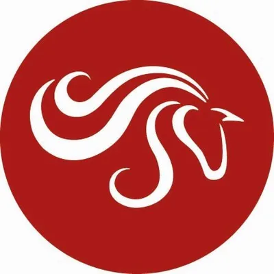 London International Horse Show profile