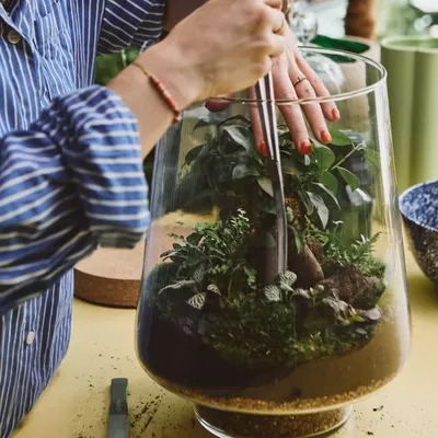 London Terrariums profile