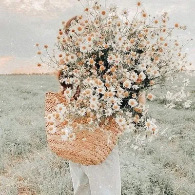 آحلاام. profile
