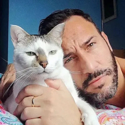 Josh & Cats profile