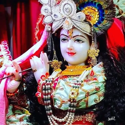 Iskcon_Temple_Lover profile