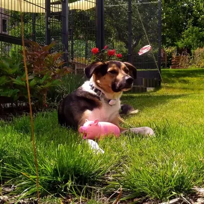 Lordofmygarden profile