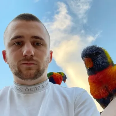 Lorikeet Mafia profile
