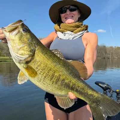 Lori Vick ISSA ELITE Trainer profile