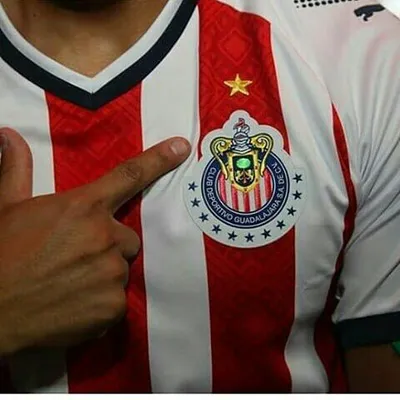 Los Chivahermanos profile