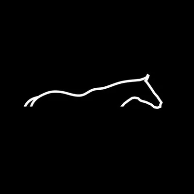 Los Machitos Polo profile
