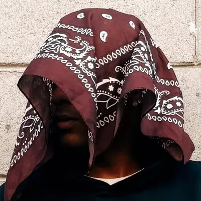 lostboy profile