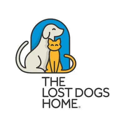 The Lost Dogs' Home profile