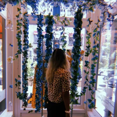 lostwithinplants profile
