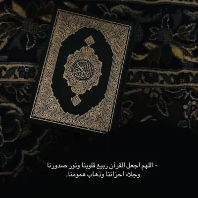 Lotfi Fatiha profile