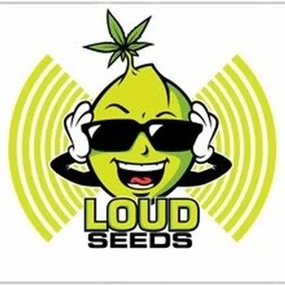 James Loud -Original Loud profile
