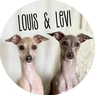 Louis & Levi profile
