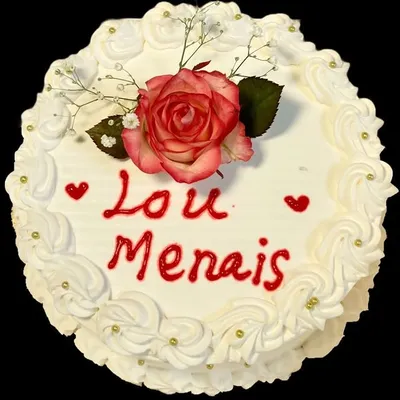Lou Menais profile