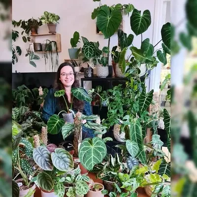 Yvonne profile