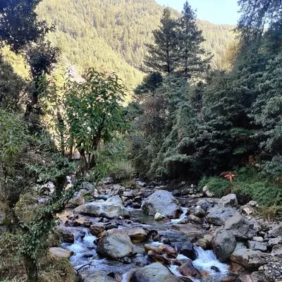 Nature_diary profile