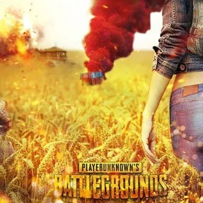 PUBG LOVERS profile