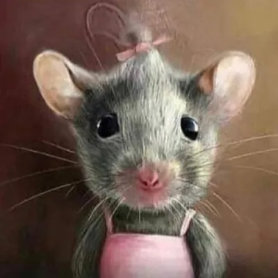 Наши будни💕💕 profile