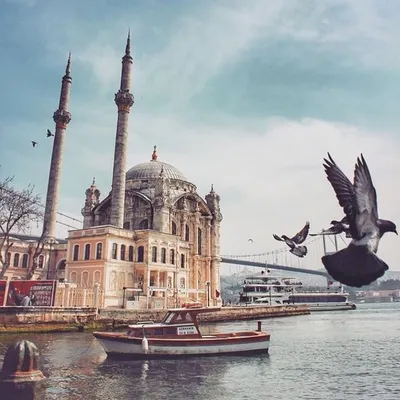 #lovestanbul_ profile