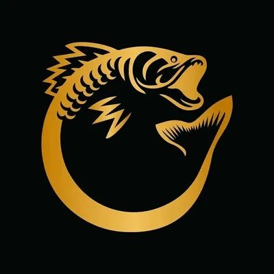 Оптовая продажа товаров для рыбалки и туризма profile