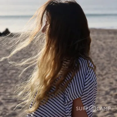 profile
