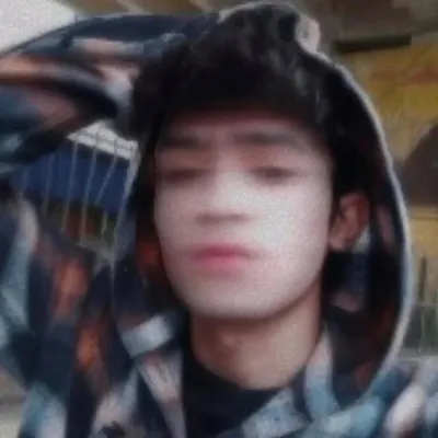 ZAYN profile